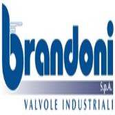 Brandoni